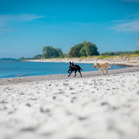 Im Ostseeresort Dampland *