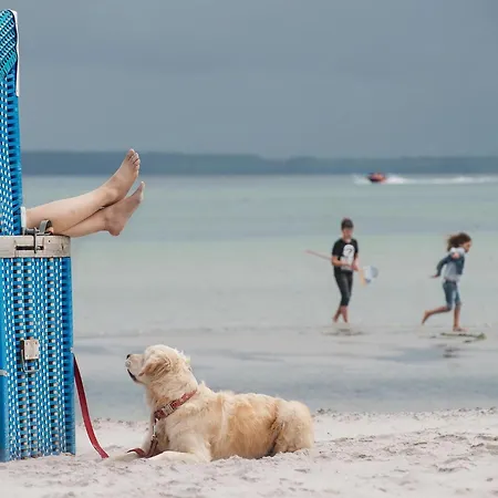 Im Ostseeresort Dampland